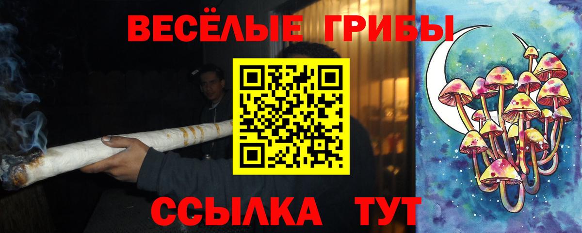 Усть-Лабинск  Псилоцибиновые грибы мицелий  Вход с VPN 