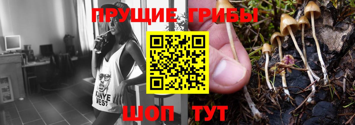 Псилоцибиновые грибы мухоморы Усть-Лабинск